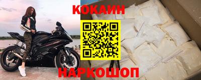 шишки Кингисепп