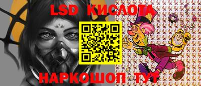 шишки Кингисепп
