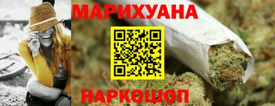 шишки Кингисепп