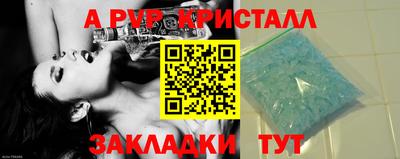 шишки Кингисепп