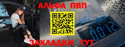 шишки Кингисепп