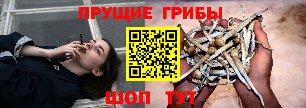 Галлюциногенные грибы Cubensis  Вход с VPN  Куйбышев 
