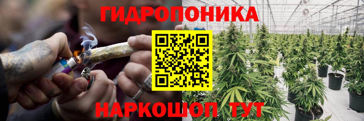 Конопля планчик Куйбышев